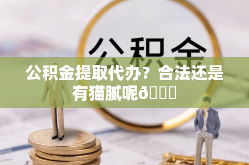 马村公积金提取代办？合法还是有猫腻呢😏